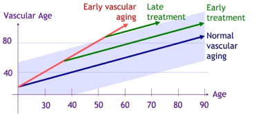 Vascular Age Chart
